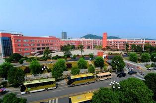 金霞资料,探寻历史长河中的璀璨明珠